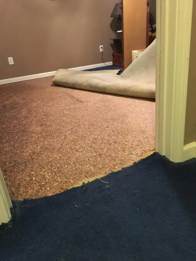 Carpet pad removal revealing water damage during Water Mitigation Services in Viera West