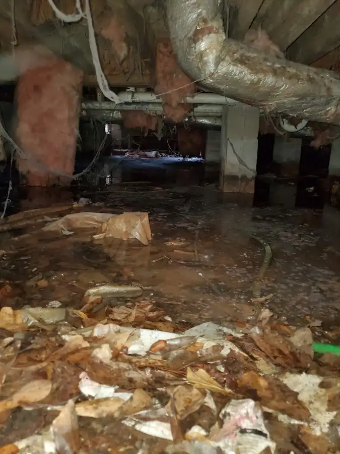 Crawl space flood assessment for Leak Detection & Repair in Viera West