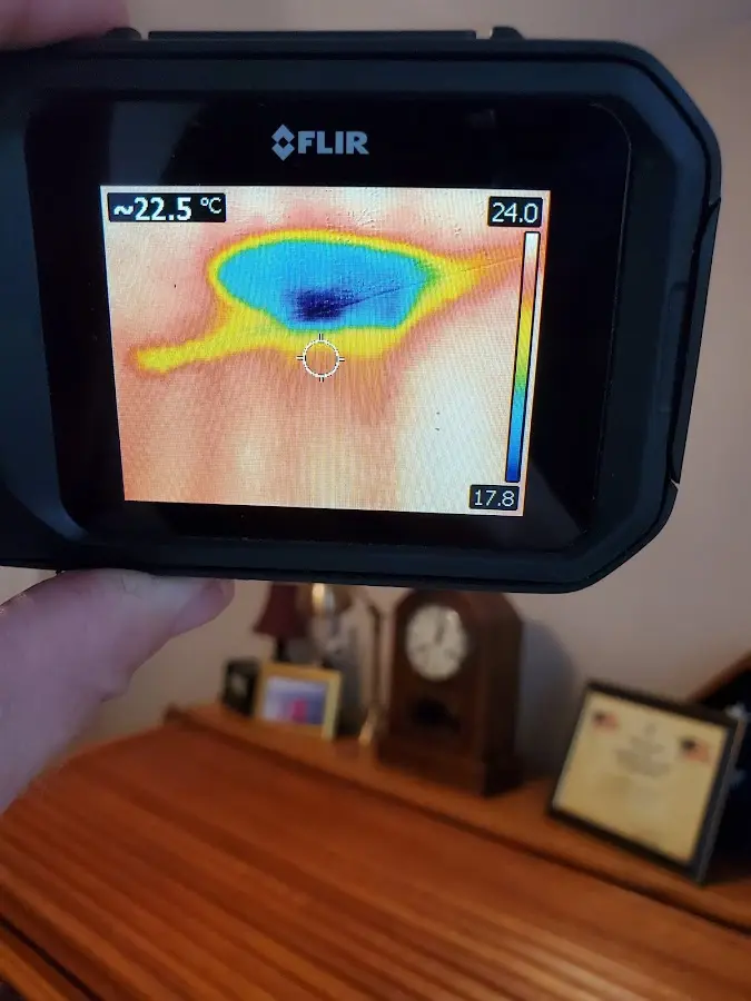 Thermal imaging inspection for water damage in Viera West